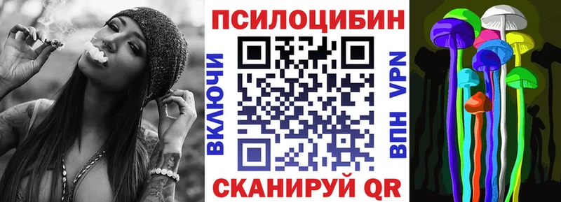 Псилоцибиновые грибы Cubensis  купить наркотики цена  MEGA ТОР  Заозёрный 